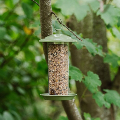 Peckish Seed Feeders Peckish Canto Seed Feeder