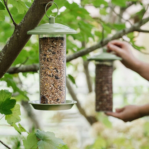Peckish Seed Feeders Peckish Canto Seed Feeder