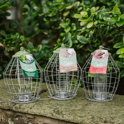 Peckish Fat Balls & Suet Feeders Peckish Canto Squirrel Proof Energy Ball Feeder