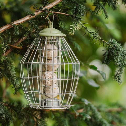 Peckish Fat Balls & Suet Feeders Peckish Canto Squirrel Proof Energy Ball Feeder
