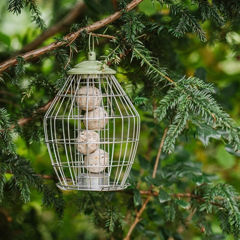 Peckish Fat Balls & Suet Feeders Peckish Canto Squirrel Proof Energy Ball Feeder