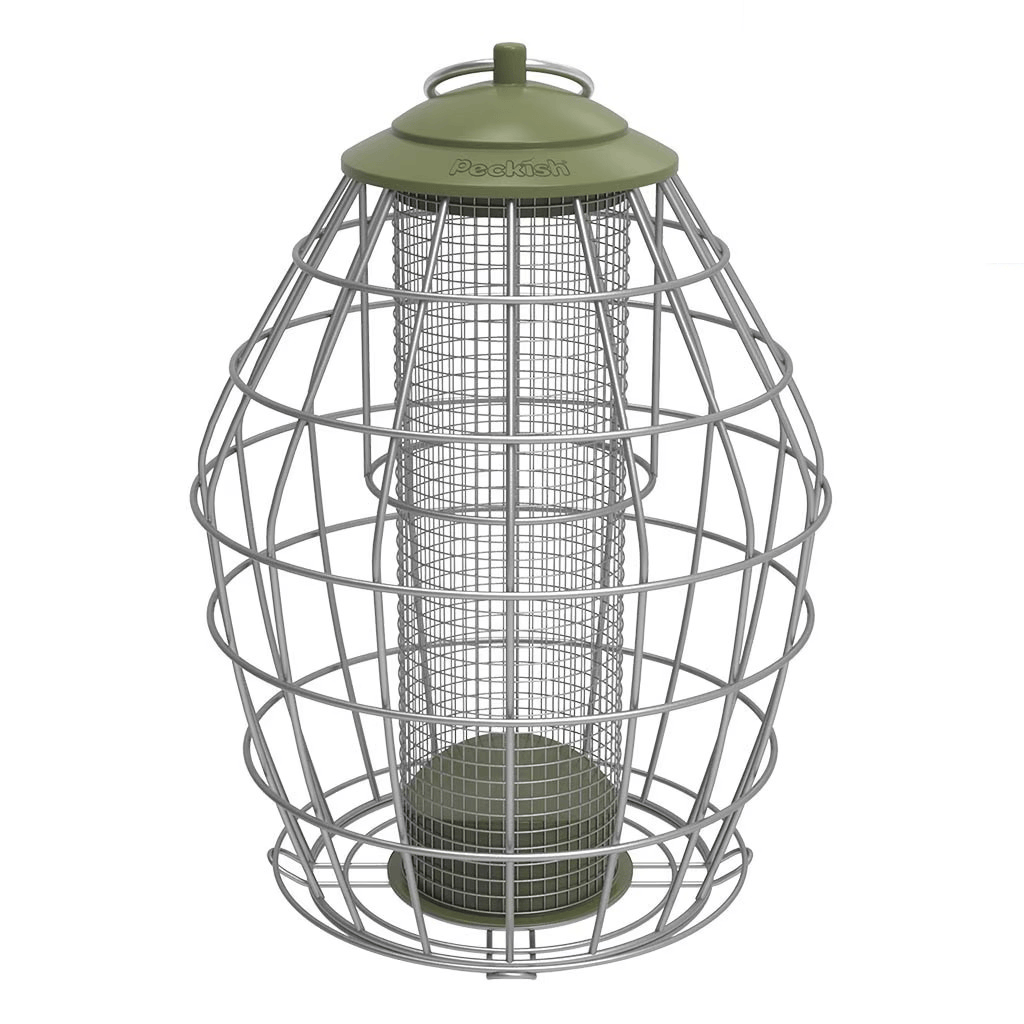 Peckish Peanut Feeders Peckish Canto Squirrel Proof Peanut Feeder