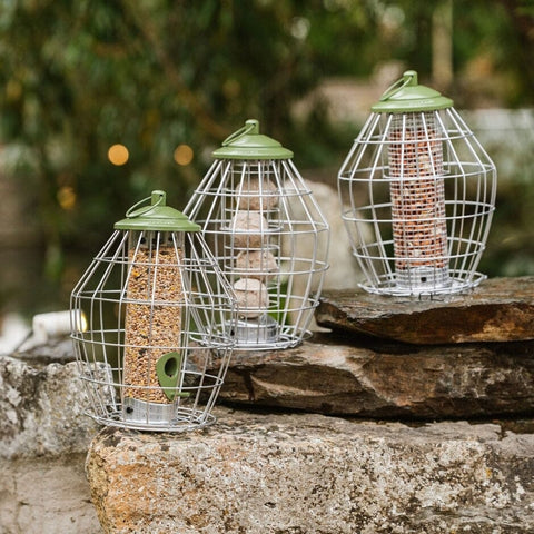 Peckish Peanut Feeders Peckish Canto Squirrel Proof Peanut Feeder