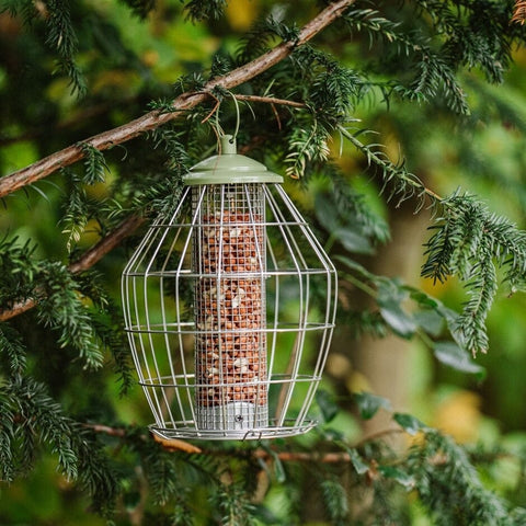 Peckish Peanut Feeders Peckish Canto Squirrel Proof Peanut Feeder
