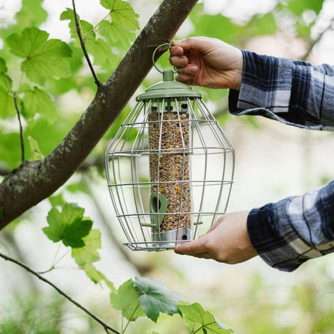 Peckish Seed Feeders Peckish Canto Squirrel Proof Seed Feeder