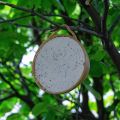 Peckish Suet Coconut Shells Peckish Coco-Not Natural Balance 4 Pack
