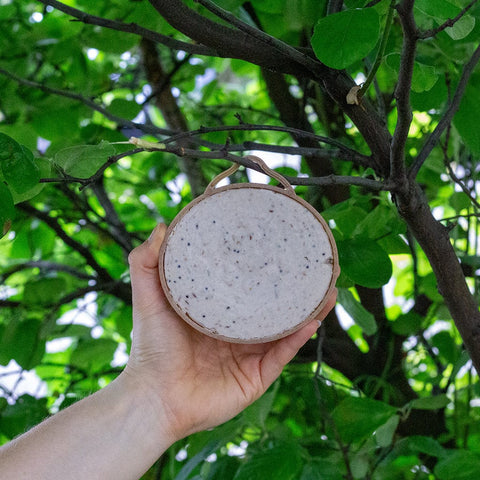 Peckish Suet Coconut Shells Peckish Coco-Not Natural Balance 4 Pack