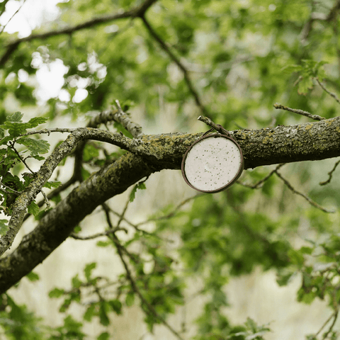 Peckish Coco-Not Natural Balance Single