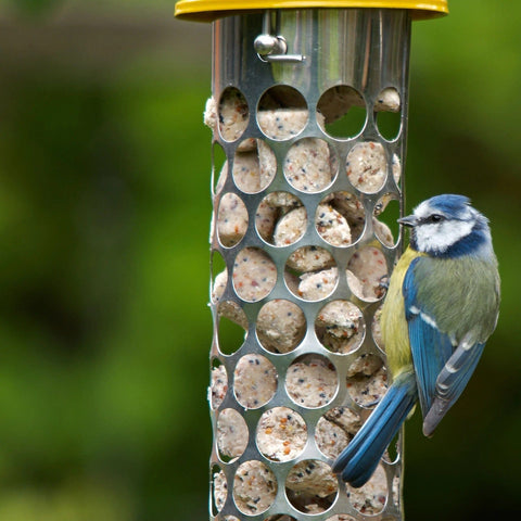 Peckish Peckish Extra Goodness 100 Nuggets