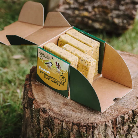 Peckish Suet Cakes Peckish Extra Goodness Suet Cake peanut and mealworm 4 pack