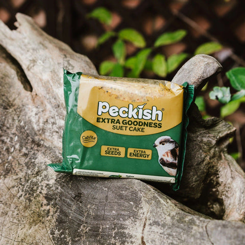 Peckish Suet Cakes Peckish Extra Goodness Suet Cake