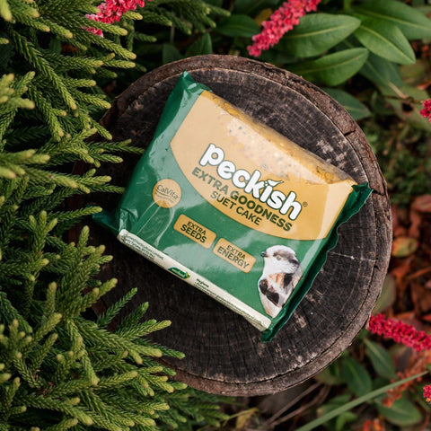 Peckish Suet Cakes Peckish Extra Goodness Suet Cake