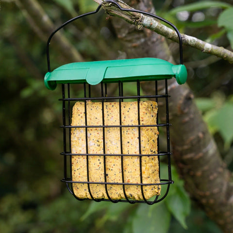 Peckish Suet Cakes Peckish Extra Goodness Suet Cake