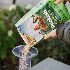 Secret Garden Nyjer Feeders Peckish Funnel Seed Feeder