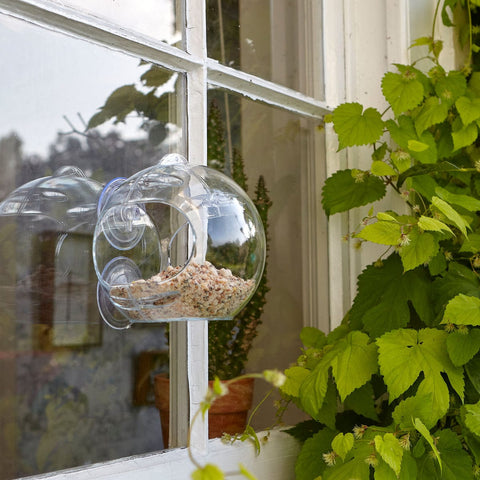 Peckish Seed Feeders Peckish Globe Window Feeder