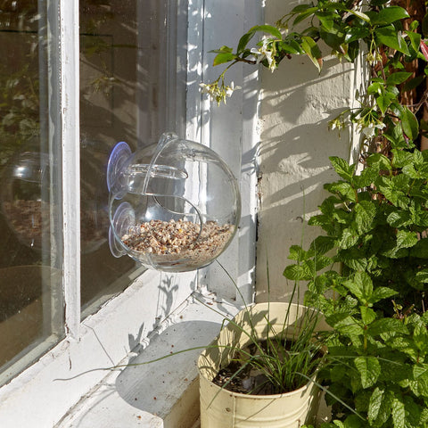Peckish Seed Feeders Peckish Globe Window Feeder