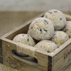 Peckish Natural Balance Energy Balls 6 pack