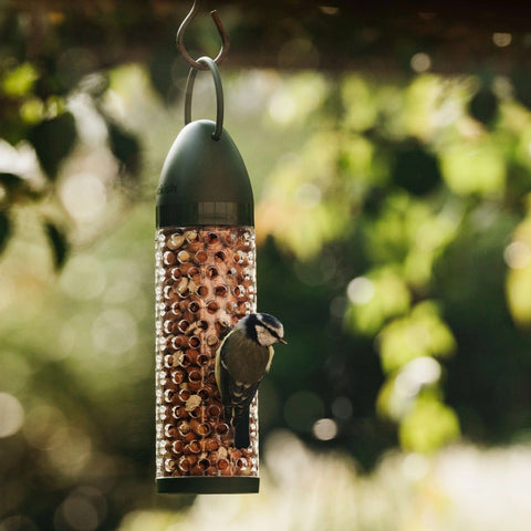 Peckish Peanut Feeders Peckish Peanut Ready to Use Feeder