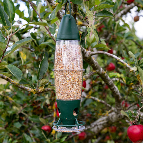 Peckish Seed Feeders Peckish Three-Port Multi Seed & Nyjer Feeder – Versatile, Clean, and Bird-Friendly
