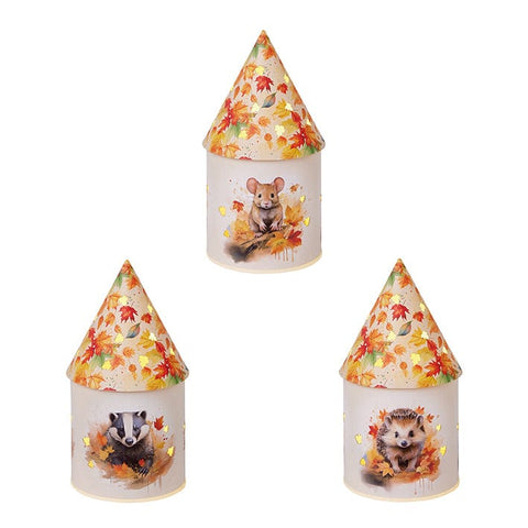 Premier Premier Autumn B/O Finlay and Friends Lit Paper Houses Assorted Designs *NO IMAGE