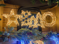 Premier LED Snowflakes Premier Christmas Lit Snowflake 720L Twinkling on Stand Warm White