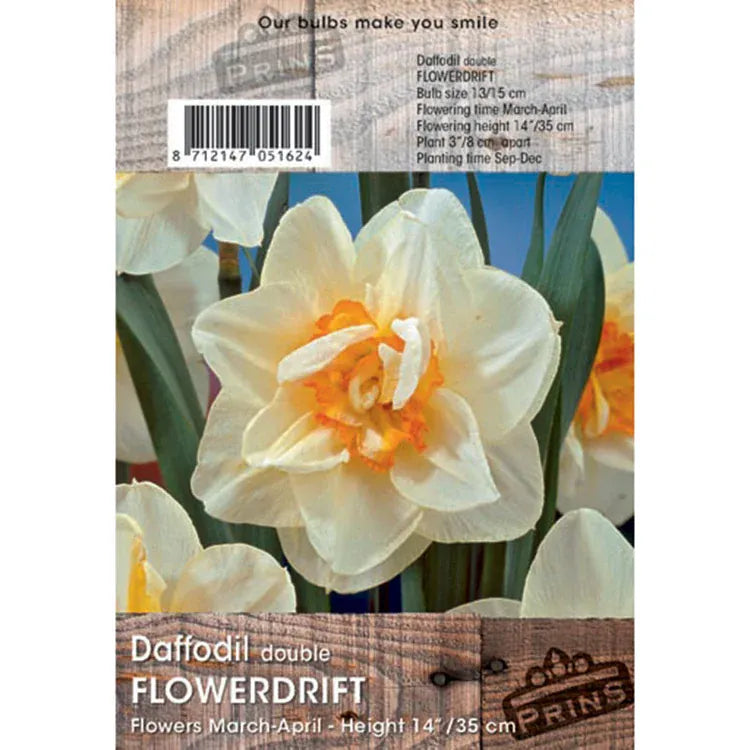 Prins Bulbs Flower Bulbs Prims Charming Flower Drift Daffodil Bulbs – 3kg