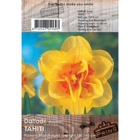 Prins Bulbs Flower Bulbs Prims Charming Tahiti Daffodil Bulbs – 3kg