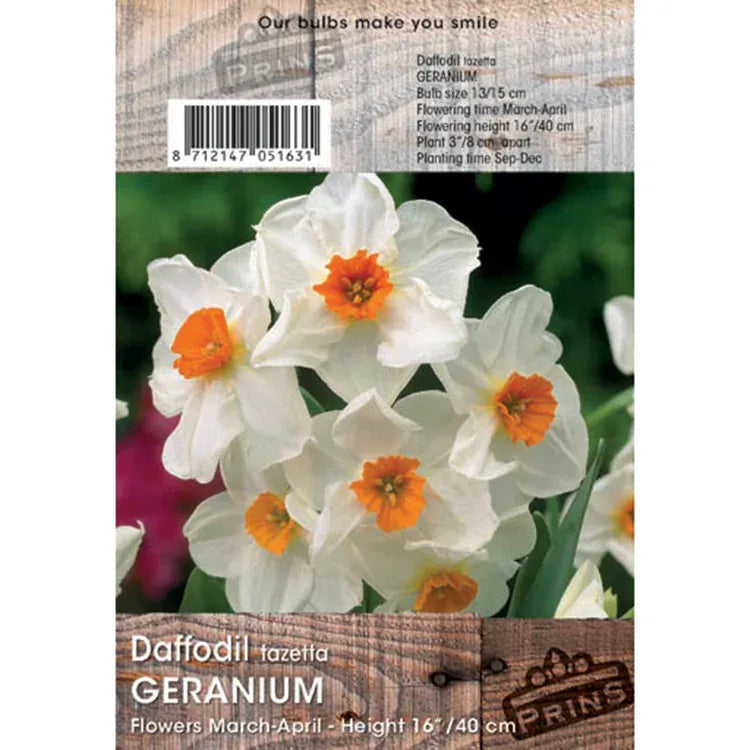 Prins Bulbs Flower Bulbs Prins Charming Geranium Daffodil Bulbs – 3kg