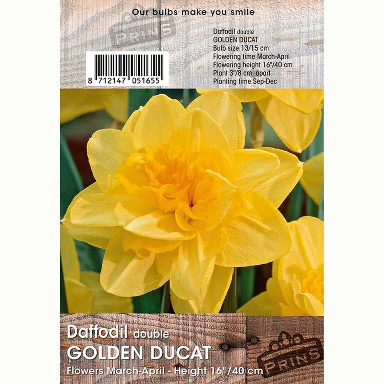 Prins Bulbs Flower Bulbs Prins Charming Golden Ducat Daffodil – 3kg