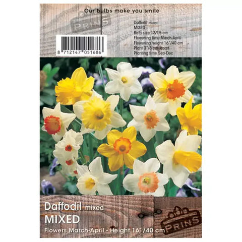 Prins Bulbs Flower Bulbs Prins Charming Mixed Daffodil Bulbs – 3kg