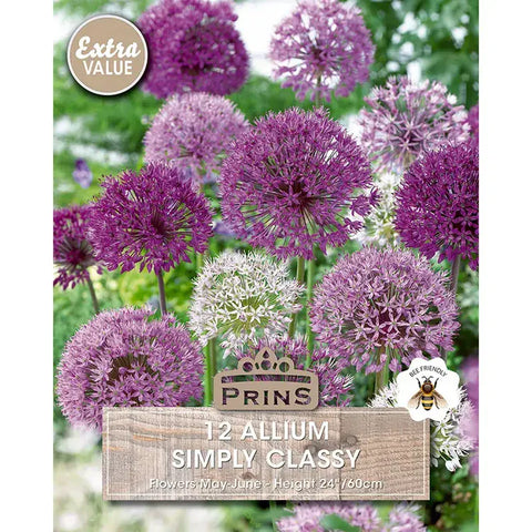 Prins Bulbs Flower Bulbs Prins Charming Simply Classy Allium Bulbs – 12pck