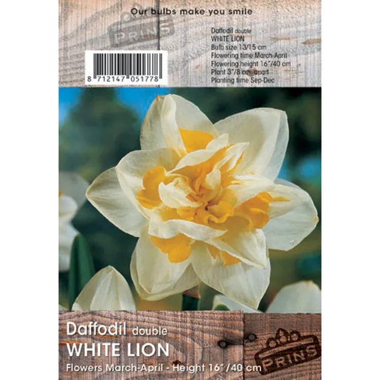 Prins Bulbs Flower Bulbs Prins Charming White Lion Daffodil Bulbs – 3kg