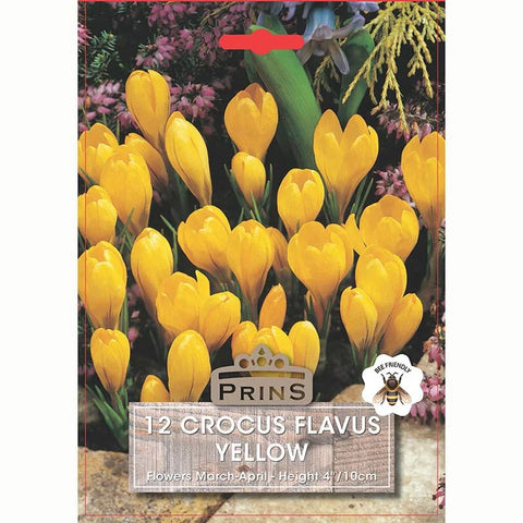 Prins Charming Flavus Yellow Crocus Bulbs – 15pck