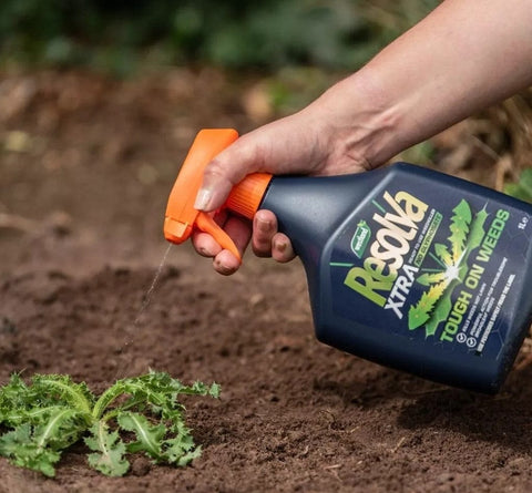 Resolva Weed Control Resolva Pro Xtra Tough Weedkiller RTU 1L No Glysophate