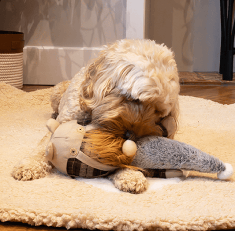 Rosewood Dog Toys Rosewood Christmas Gerard Gonk Dog Toy