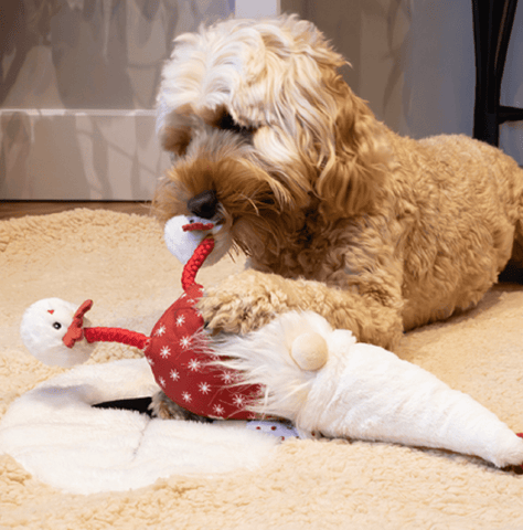 Rosewood Dog Toys Rosewood Christmas Greg Gonk Dog Toy