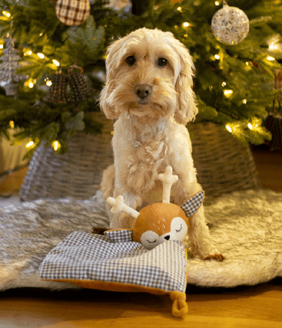 Rosewood Dog Toys Rosewood Christmas Rami Reindeer Dog Toy