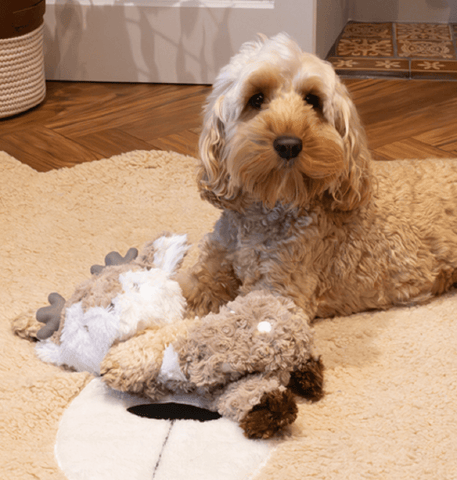 Rosewood Dog Toys Rosewood Christmas Renee Reindeer Dog Toy