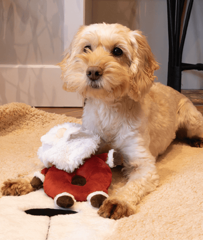 Rosewood Dog Toys Rosewood Christmas Sylvester Santa Dog Toy