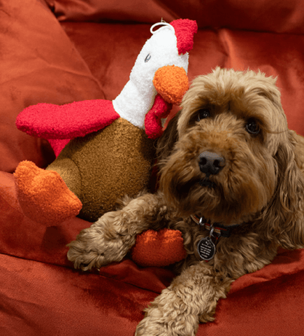 Rosewood Dog Toys Rosewood Christmas TuffLove Turkey Dog Toy