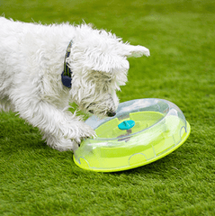 Rosewood Dog Toys Rosewood Dog Wobble Bowl