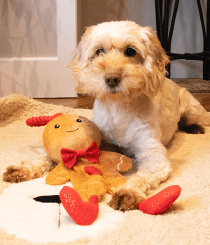 Rosewood Dog Toys Rosewood George Gingerbread Man Dog Toy