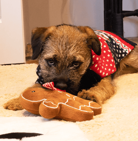 Rosewood Dog Accessories Rosewood Gingerbread Xmas Eve Dog Gift Pack Large