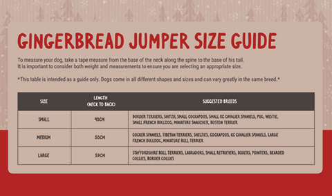 Rosewood Dog Accessories Rosewood Gingerbread Xmas Eve Dog Gift Pack Medium