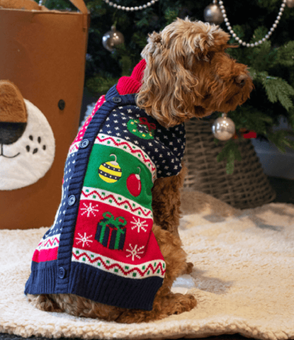 Rosewood Dog Accessories Rosewood Gingerbread Xmas Eve Dog Gift Pack Medium