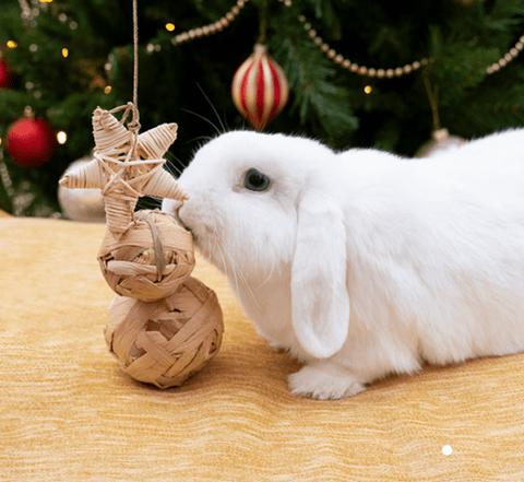 Rosewood Small Animal Habitat Accessories Rosewood Water Hyacinth Trio Tree Cage Hanging