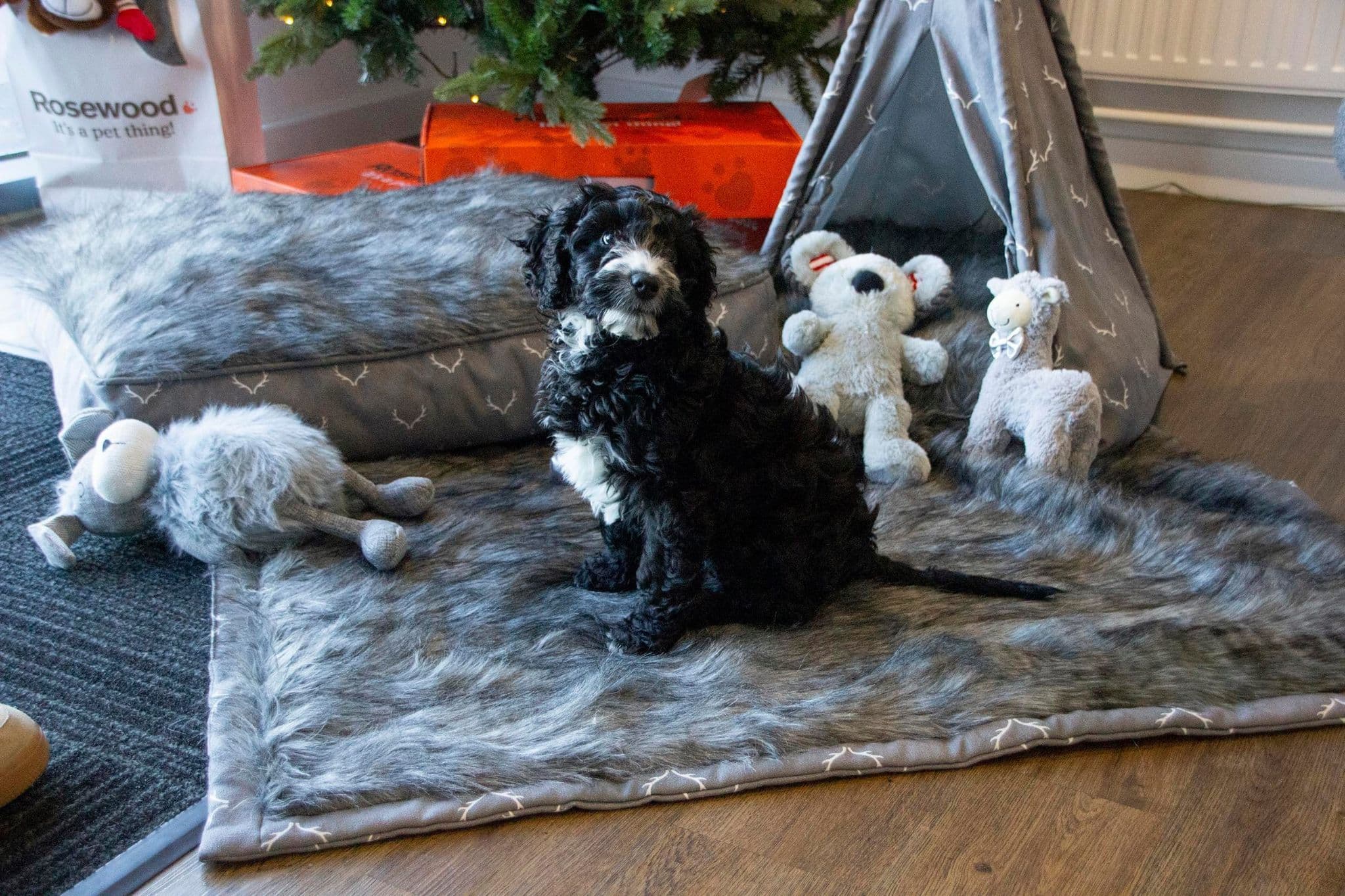 Rosewood Wolf & Tiger Antler Supersoft Dog Blanket