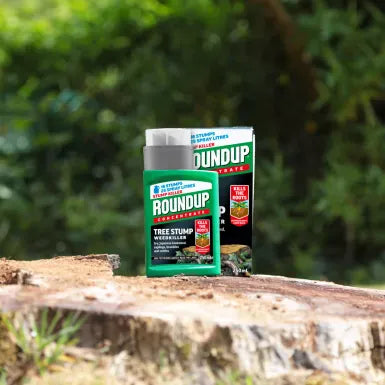 Roundup Weed Control Roundup Tree Stump Killer 250ml