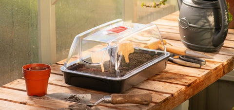 Sankey Propagator Unheated Sankey Grostart Propagator Midi Unheated 38cm