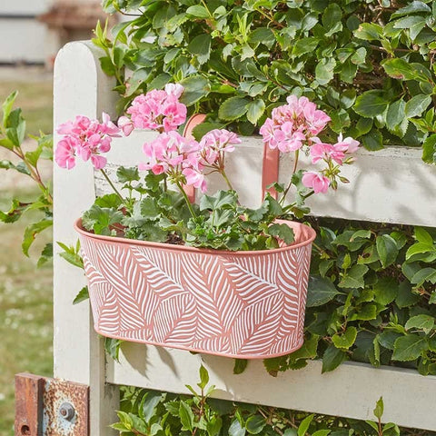 Smart Garden Planters Smart Garden 12in Fence & Balcony Hanging Planter - Fern - Terracotta